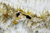 Polished Nydegger Plume Agate Slab - Oregon #141302-1